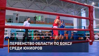 Первенство области по боксу среди юниоров