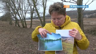 Кто восстановит пруды в Палатове и Весёлом