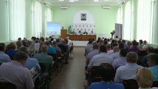 Вспышка АЧС в Шебекинском районе
