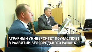 Аграрный университет поучаствует в развитии Белгородского района