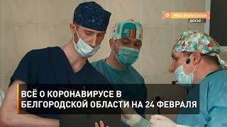 Всё о коронавирусе в Белгородской области на 24 февраля