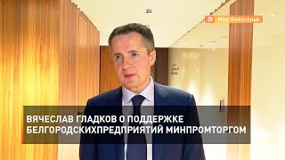 Вячеслав Гладков о поддержке белгородских предприятий Минпромторгом