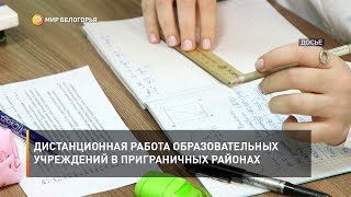 Дистанционная работа образовательных учреждений в приграничных районах