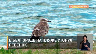 В Белгороде на пляже утонул ребёнок