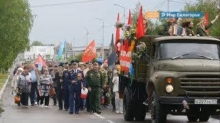 9 Мая в Волоконовке