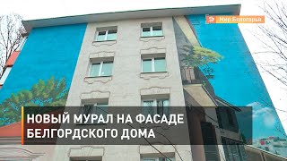 Новый мурал на фасаде белгордского дома