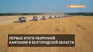 Первые итоги уборочной кампании в Белгородской области