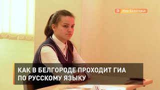 Как в Белгороде проходит ГИА по русскому языку