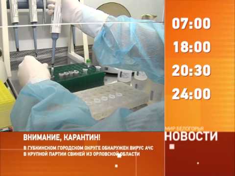 Смотрите на «Мире Белогорья» сегодня, 16 января