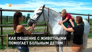 Как общение с животными помогает больным детям