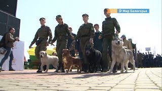 Ярмарка вакансий собрала школьников