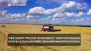 Уже скоро Росстат опубликует окончательные итоги сельскохозяйственной микропереписи