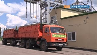 Готовность к приему нового урожая зерна в Белгороде