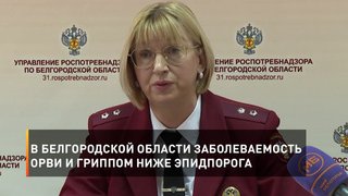 В Белгородской области заболеваемость ОРВИ и гриппом ниже эпидпорога