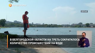 В Белгородской области на треть сократилось количество происшествий на воде