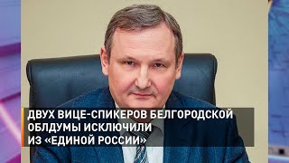 Двух вице-спикеров Белгородской облдумы исключили из «Единой России»