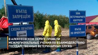 В Алексеевском округе провели межрегиональные учения по взаимодействию государственных ветеринарных служб