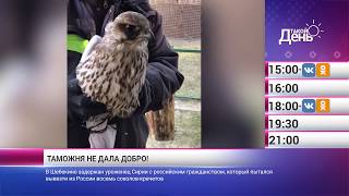 «Такой день». Новости 21 ноября (Анонс)