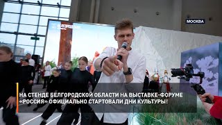На стенде Белгородской области на выставке-форуме «Россия» официально стартовали Дни культуры!