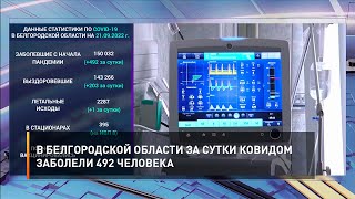 В Белгородской области за сутки ковидом заболели 492 человека