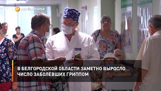 В Белгородской области заметно выросло число заболевших гриппом