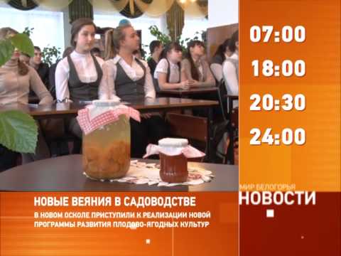 Смотрите на «Мире Белогорья» сегодня, 11 декабря