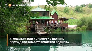 Атмосфера или комфорт? В Шопино обсуждают благоустройство родника