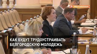 Как будут трудоустраивать белгородскую молодежь