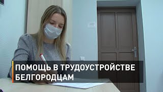 Помощь в трудоустройстве белгородцам