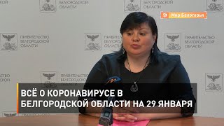 Всё о коронавирусе в Белгородской области на 29 января