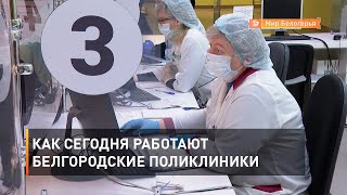 Как сегодня работают белгородские поликлиники 