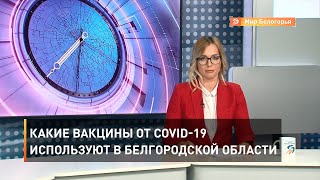 Какие вакцины от COVID-19 используют в Белгородской области 