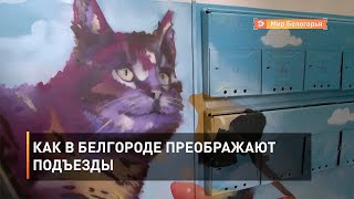 Как в Белгороде преображают подъезды