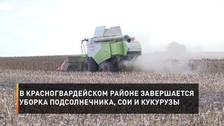 В Красногвардейском районе завершается уборка подсолнечника, сои и кукурузы