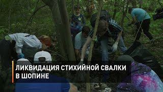 Ликвидация стихийной свалки в Шопине