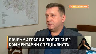 Почему аграрии любят снег: комментарий специалиста