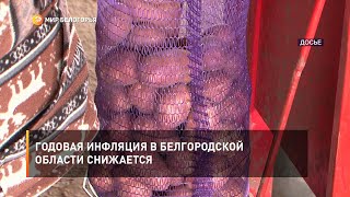 Годовая инфляция в Белгородской области снижается