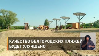 Качество белгородских пляжей будет улучшено 