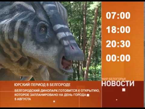 Смотрите на «Мире Белогорья» сегодня, 2 августа 