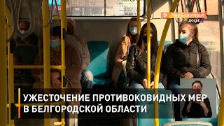 Ужесточение противоковидных мер в Белгородской области