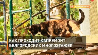 Как проходит капремонт белгородских многоэтажек 