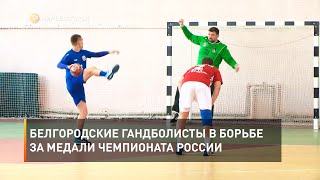 Белгородские гандболисты в борьбе за медали чемпионата России