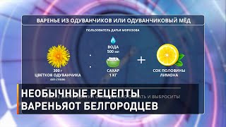 Необычные рецепты варенья от белгородцев