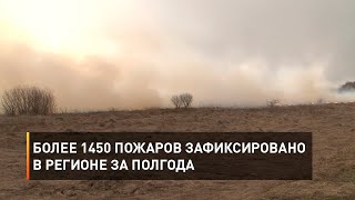 Более 1450 пожаров зафиксировано в Белгородской области за полгода