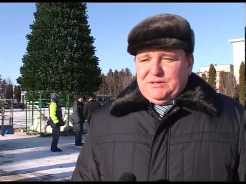 На площади Бирюча впервые устанавливают искусственную ель