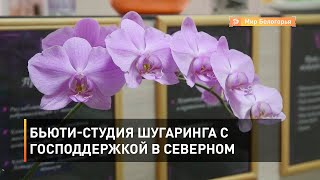 Бьюти-студия шугаринга с господдержкой в Северном 