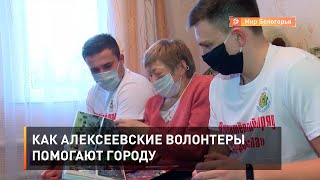 Как алексеевские волонтеры помогают городу