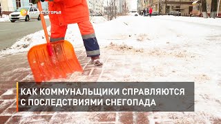 Как коммунальщики справляются с последствиями снегопада 
