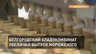 Белгородский хладокомбинат увеличил выпуск мороженого