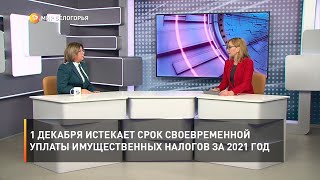 1 декабря истекает срок своевременной уплаты имущественных налогов за 2021 год